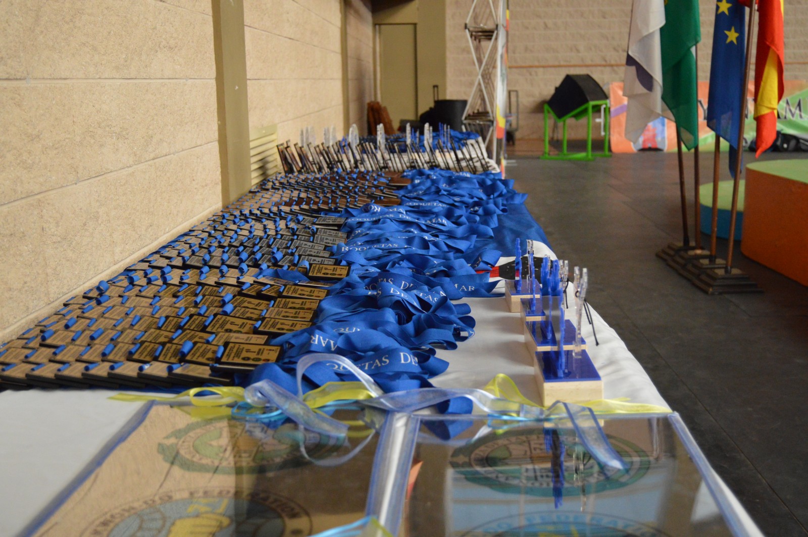Open Roquetas 2015 (3).jpg